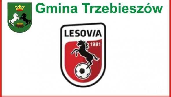 Lesovia – reaktywacja - Zdjęcie główne