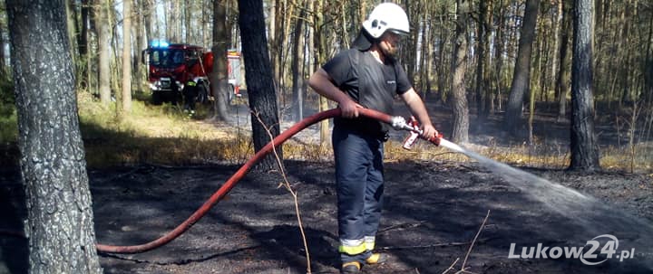 6 pożarów w jeden dzień - Zdjęcie główne