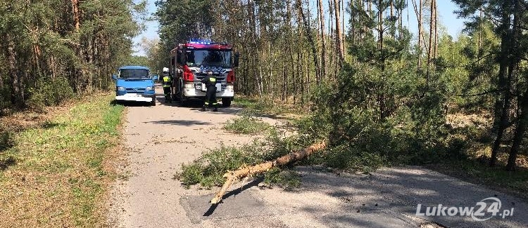 Połamane drzewa i pożar dachu - Zdjęcie główne