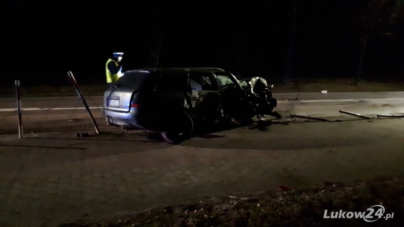 Jechał "po użyciu alkoholu". Uderzył w drzewo  - Zdjęcie główne