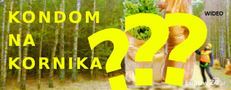 Kondom na kornika (WIDEO) - Zdjęcie główne