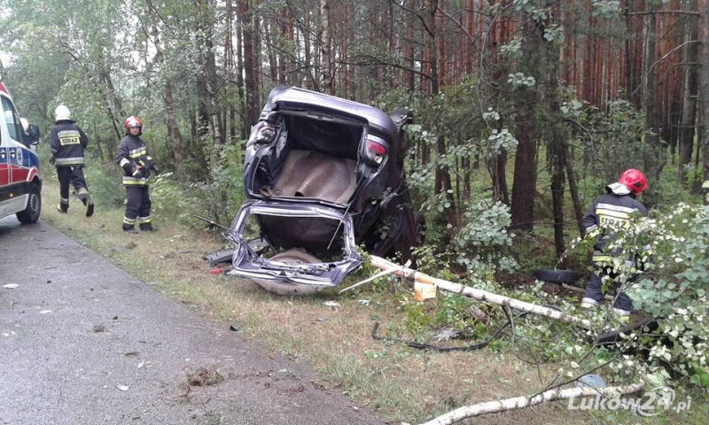 Dachowanie niedaleko Huty Dąbrowy - Zdjęcie główne