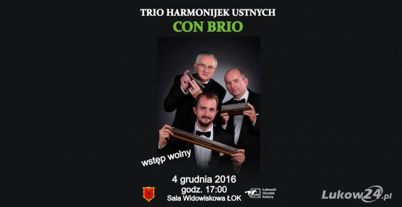 Trio Harmonijek Ustnych na łukowskiej scenie - Zdjęcie główne