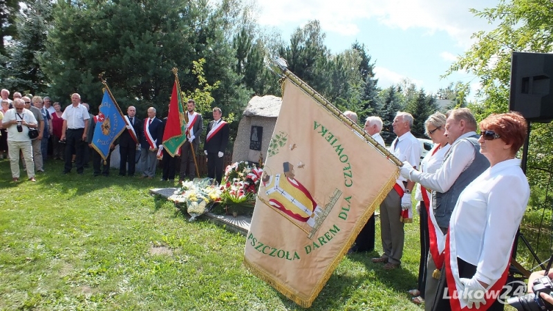 Ziemia łukowska popłynie miodem - Zdjęcie główne