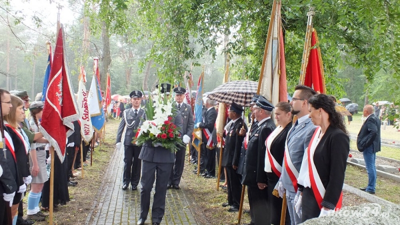 15 sierpnia - święto państwowe i religijne - Zdjęcie główne