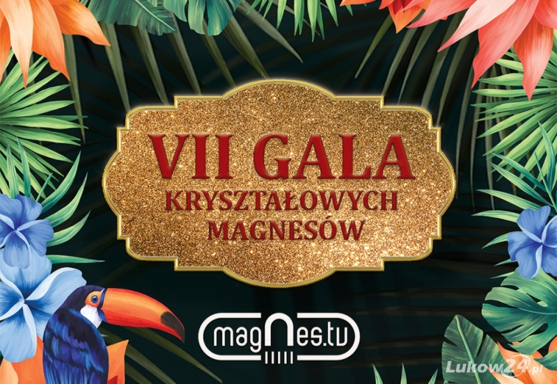 VII Gala Kryształowych Magnesów - Zdjęcie główne