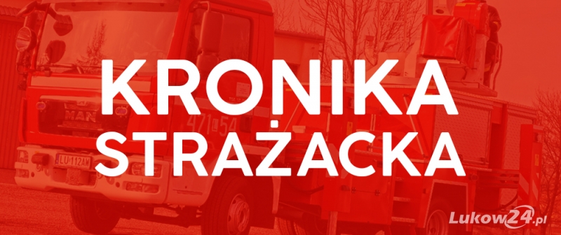 Pracowity tydzień strażaków - Zdjęcie główne