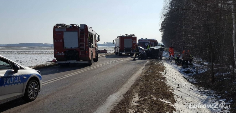 Wypadek na trasie w kierunku Wojcieszkowa. Uwaga na objazdy! - Zdjęcie główne