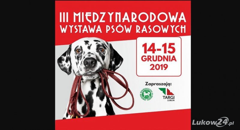   Międzynarodowa Wystawa Psów Rasowych w Lublinie - Zdjęcie główne