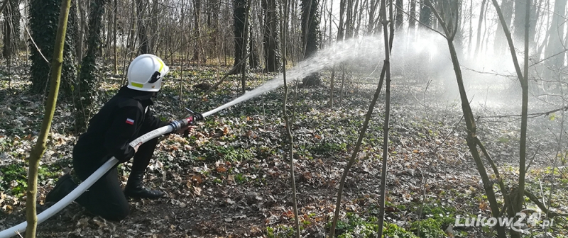 Nauka pod okiem strażaków - Zdjęcie główne