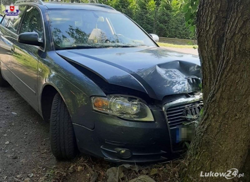 Wypił, uciekał przed policją, zatrzymał się na drzewie - Zdjęcie główne