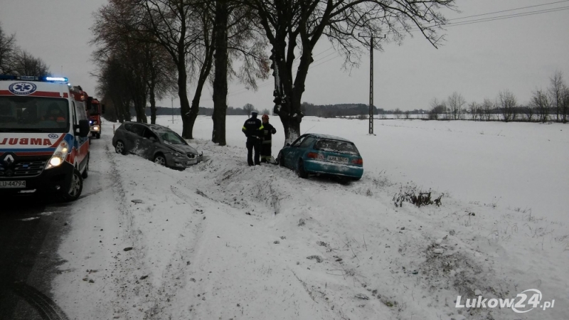 Wahadło na Radzyńskiej. Dwa samochody w rowie - Zdjęcie główne