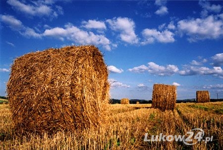 Rolniku, pamiętaj o bezpieczeństwie - Zdjęcie główne