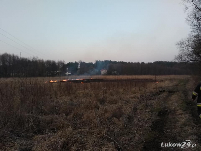 Płoną trawy. Pracowity czas strażaków ze Stoczka  - Zdjęcie główne