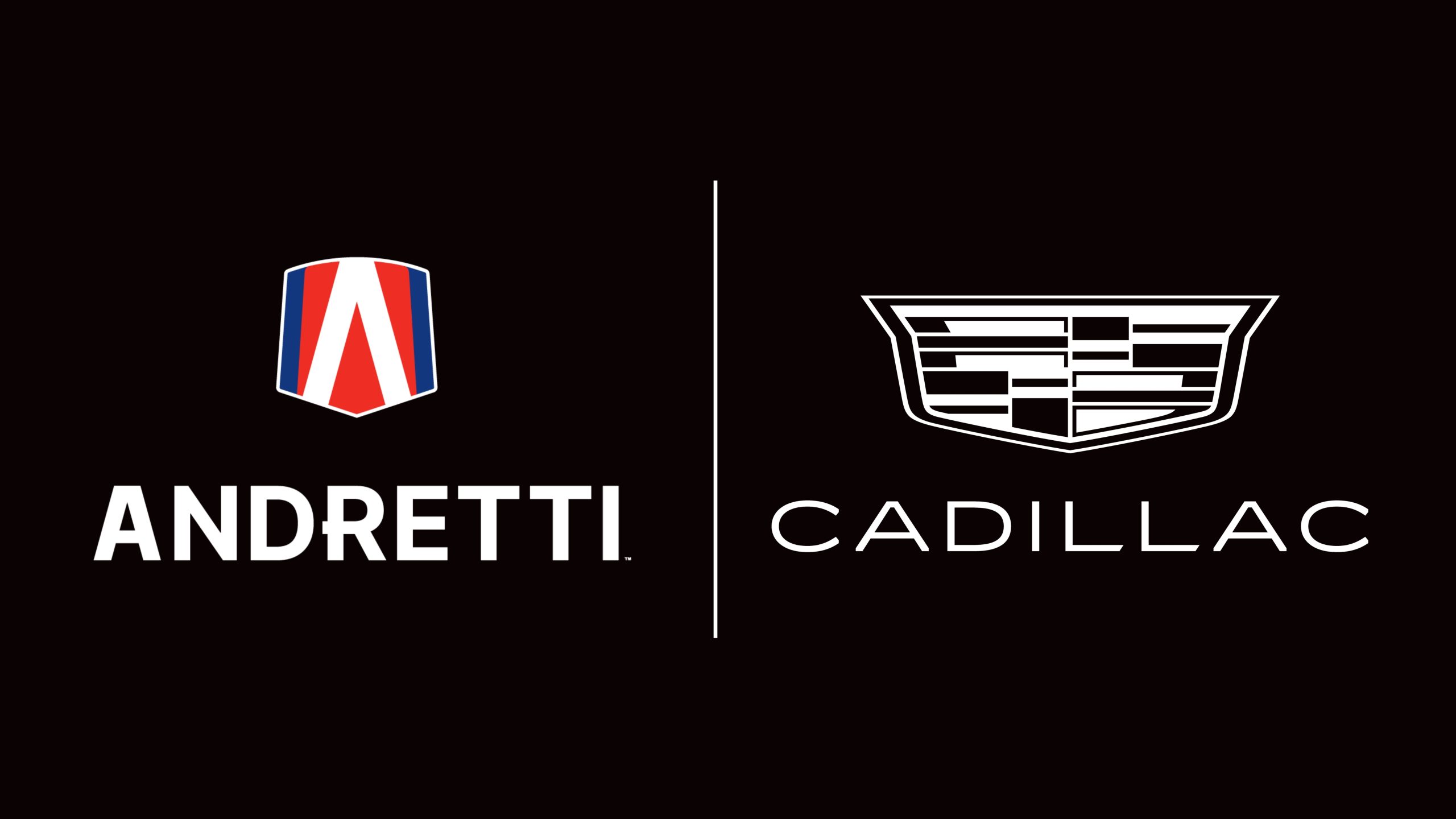 [情報] Andretti+GM