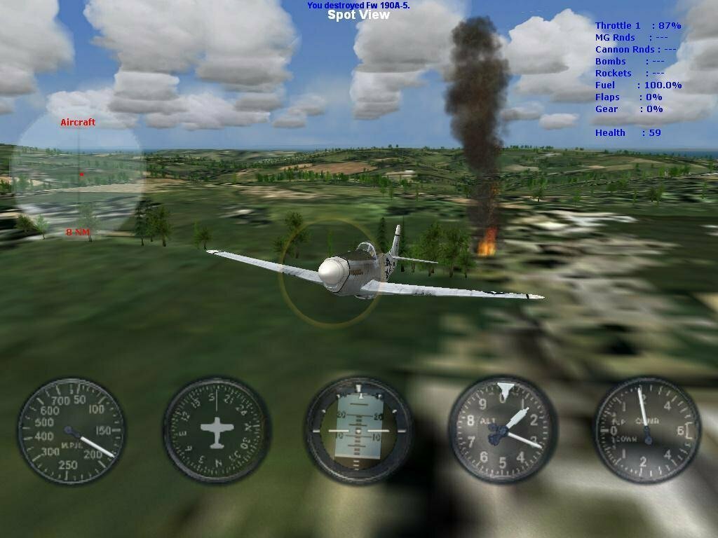 Microsoft Combat Flight Simulator