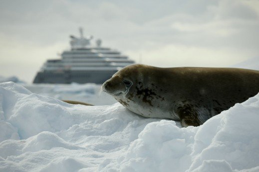 find a cruise silversea