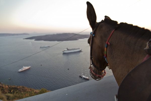 7 Night Greek Isles Cruise
