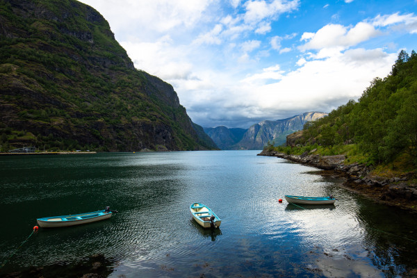 The Norwegian Fjords