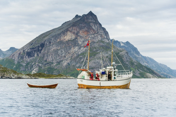 Norwegian Fjords