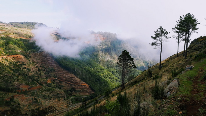 The Canary Islands