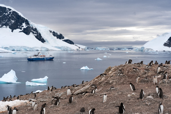 Antarctica & Torres del Paine - cruise & land journey
