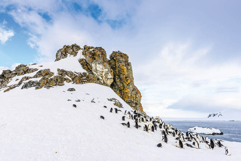 South Shetland Islands