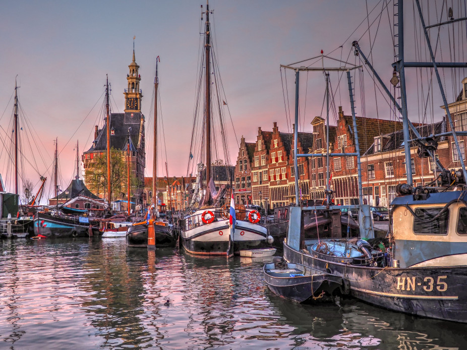 Hoorn