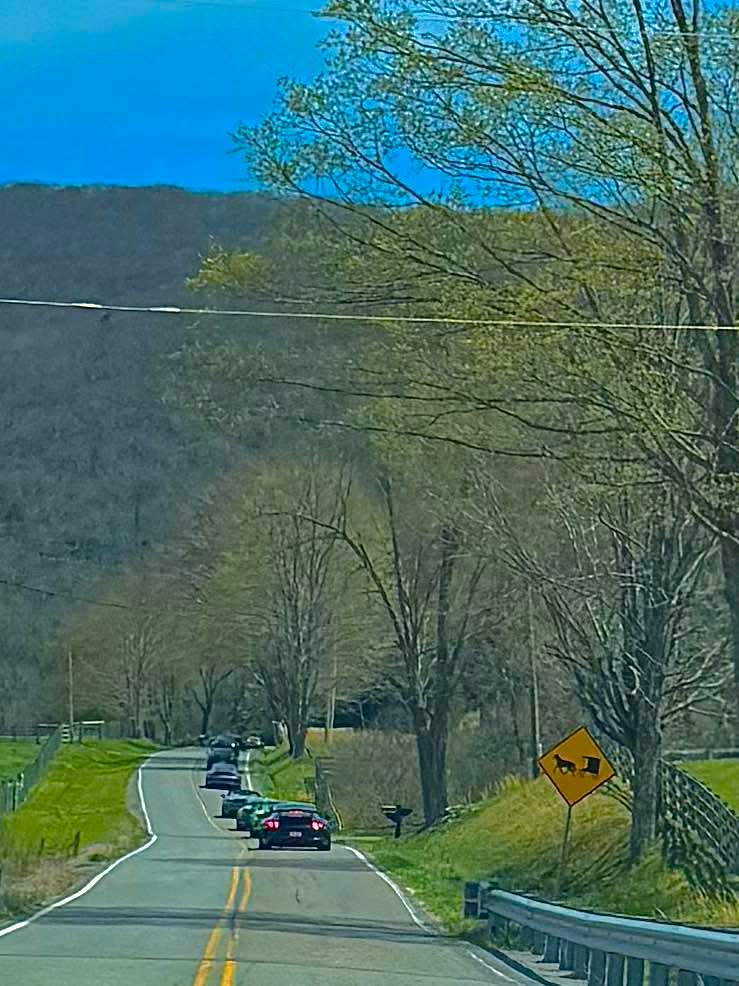 5f79b8e136a69acac6b8efd2d871226e