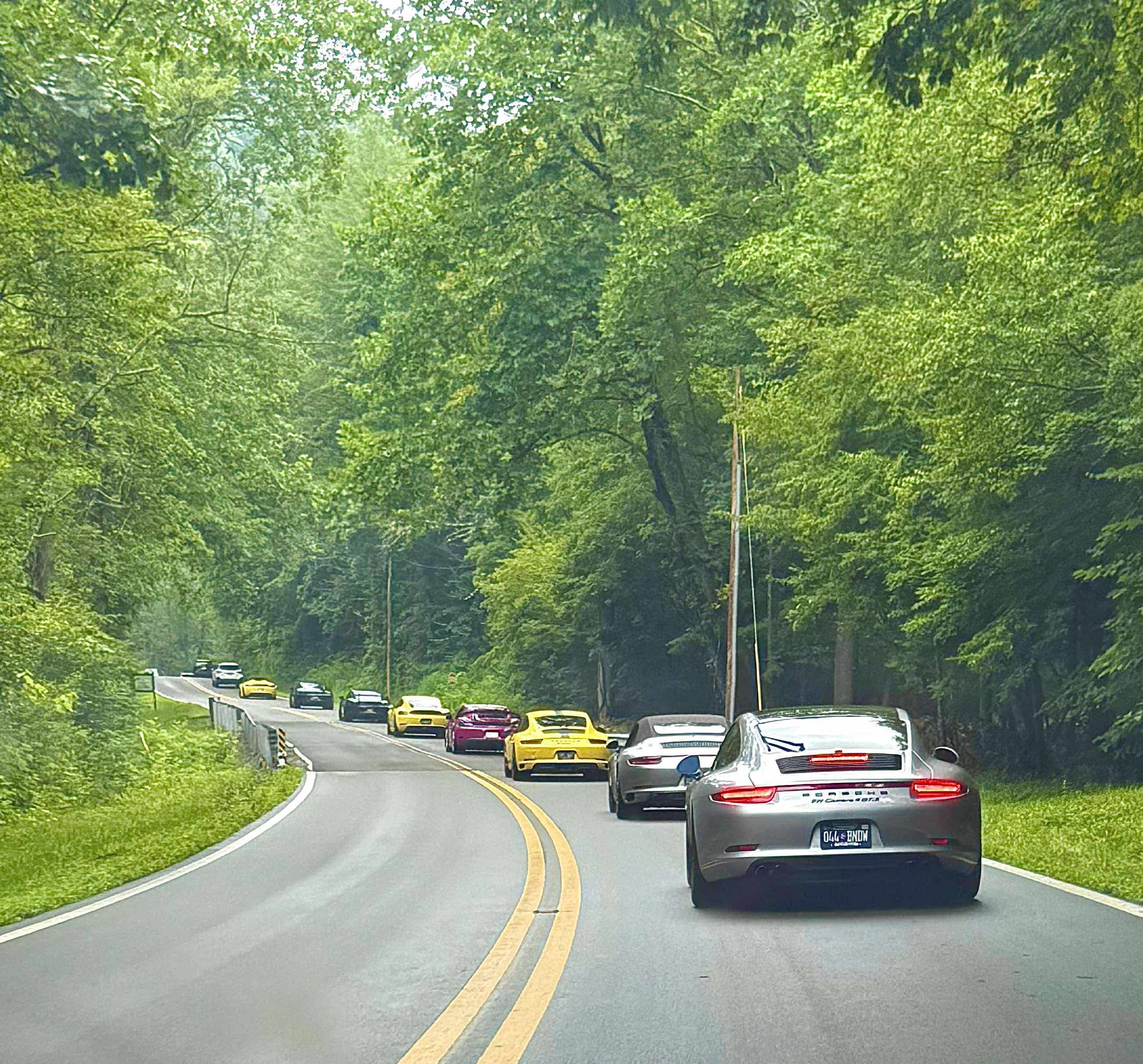 Cae979d8d90866edbfffeff9f305a8b5 2