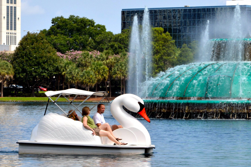 Swan-like paddle boats