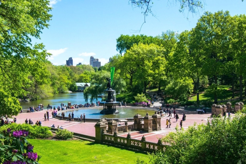 A view of Central Park, New York, with a large pond and a fountain.