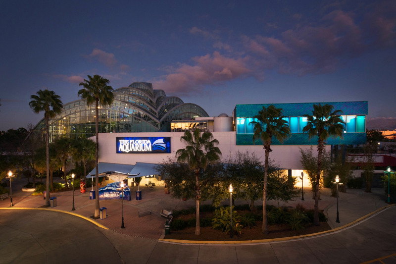 Aquarium building