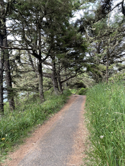 Cape Arago State Park