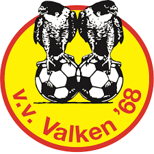 valken logo