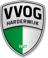 vvog logo 3d
