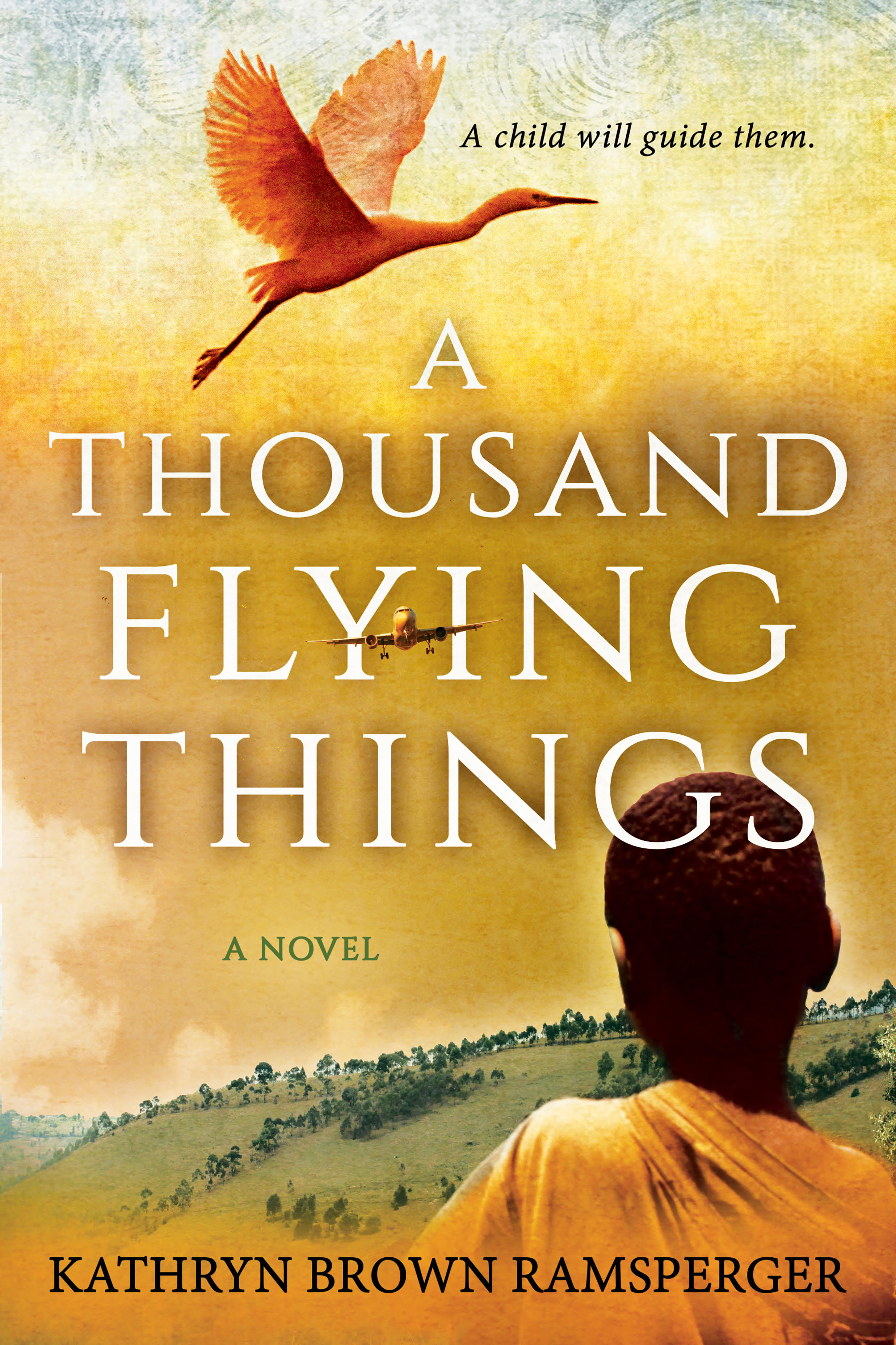 A Thousand Flying Things