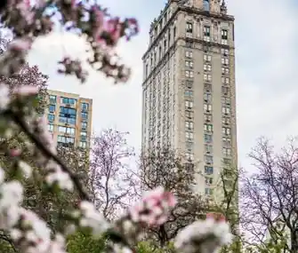 The Pierre, A Taj Hotel, New York