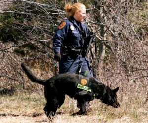 officer and dog search the Gilgo Beach area on New York's Long Island