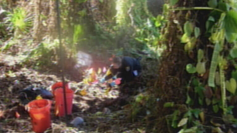 A makeshift memorial shows the site where Caylee Anthony's body was found.