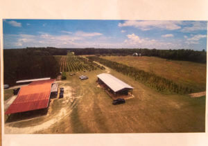 The Colleton County property where the Murdaughs lived.