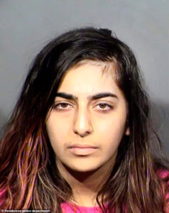 Nika Nikoubin mugshot