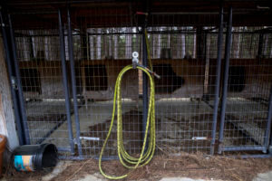 Dog kennels at Moselle.