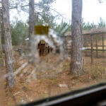 Bullet hole seen from inside the feed room at Moselle.