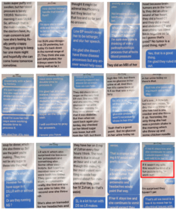 screenshots of text message conversations