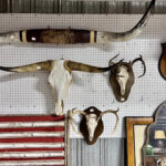 Varios skulls, horns, and a deer head mounted on a wall