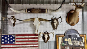 Varios skulls, horns, and a deer head mounted on a wall