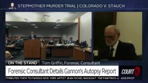 Tom Griffin, a forensic consultant, testifies at trial
