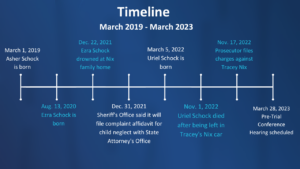 timeline graphic of tracey nix case