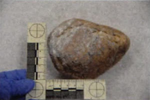 large rock with a ruler next to it